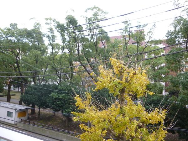 OMORI