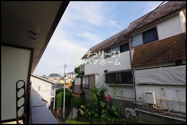 Delight白楽