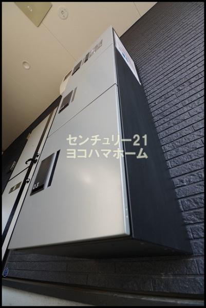 Delight白楽