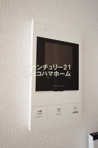エーデルワイス