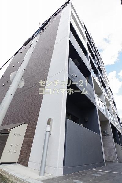 エーデルワイス