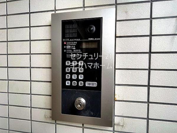 シルバニアタカギ