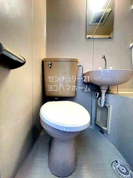 シルバニアタカギ