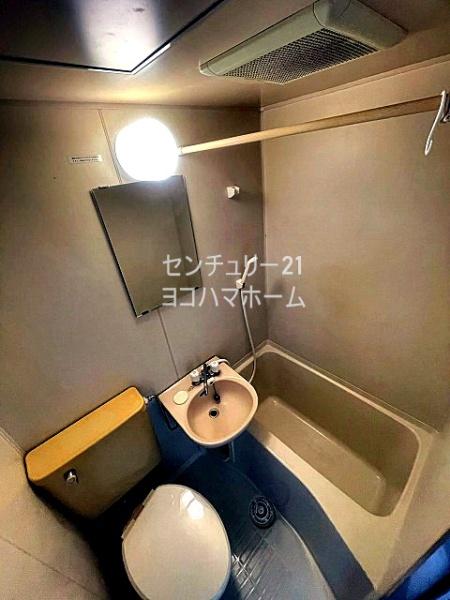 シルバニアタカギ