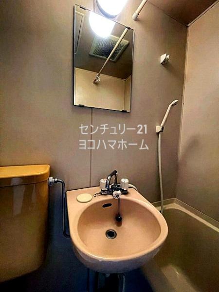 シルバニアタカギ