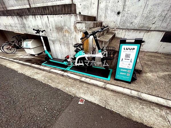 オルテンシア