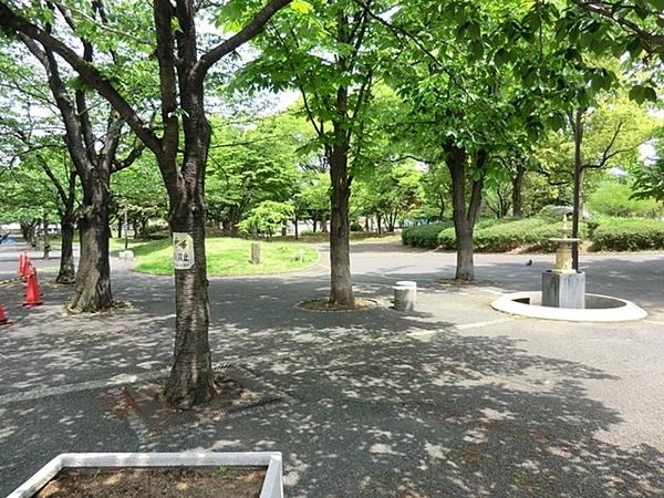 コスモAoi三ツ沢(台町公園)