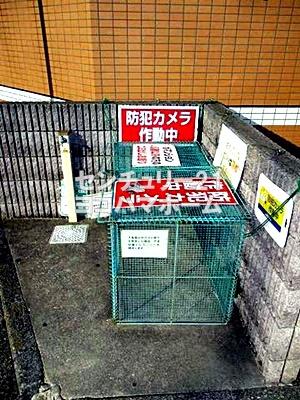 ティーリーフ横浜レジーナ