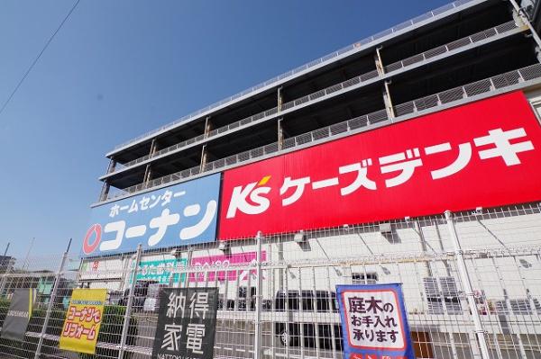 オリーブ・Y(コーナン)