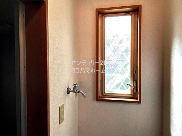 オリーブ・Y