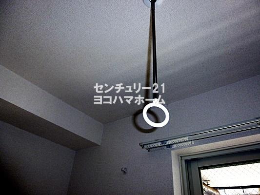 ミカローズ