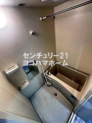 Ｈａｋｕｓｕｉ星川