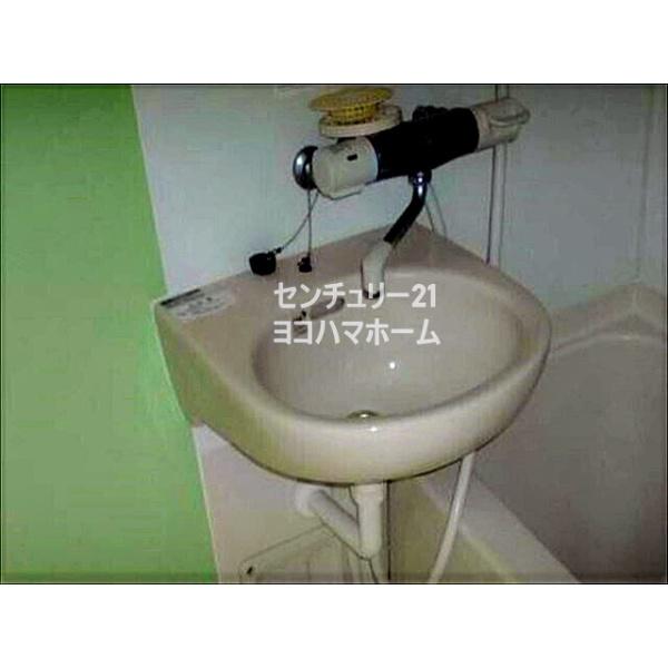 T.T白楽