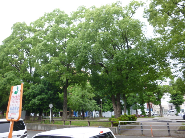 パーク・ノヴァ伊勢佐木長者町(大通り公園)