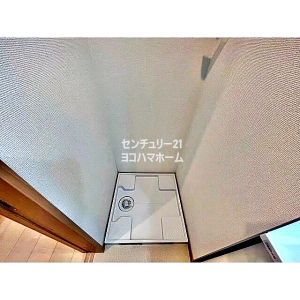 アムール白楽