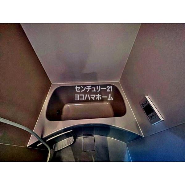 アムール白楽