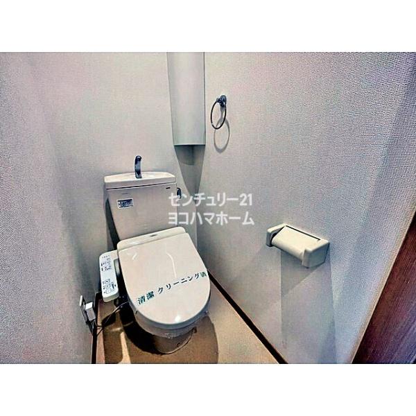 アムール白楽