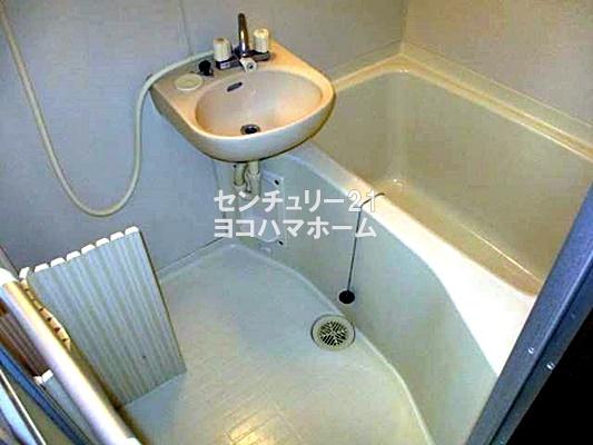 ヴィヴィセル白楽