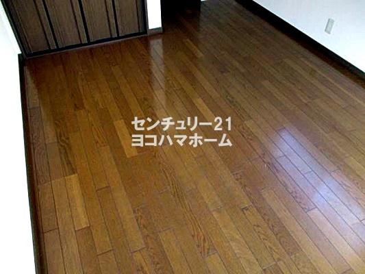 ヴィヴィセル白楽