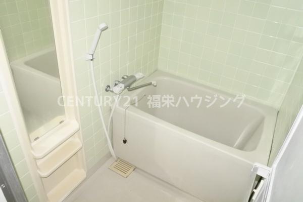 ヴェルドミール