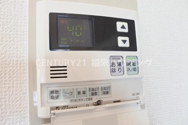 ヴェルドミール