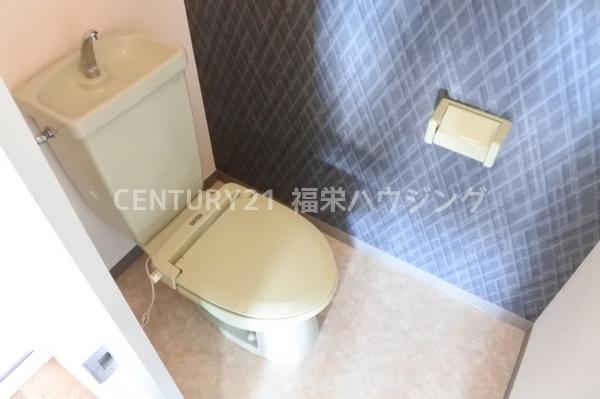 ヴェルドミール