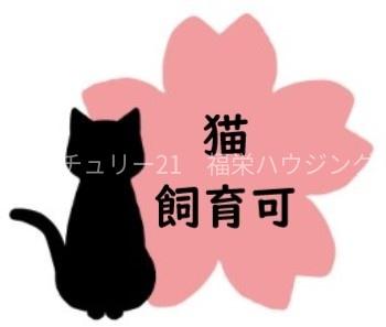 駅近の猫ＯＫ築浅１ＬＤＫです♪