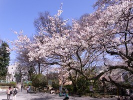 イトーピア三番町