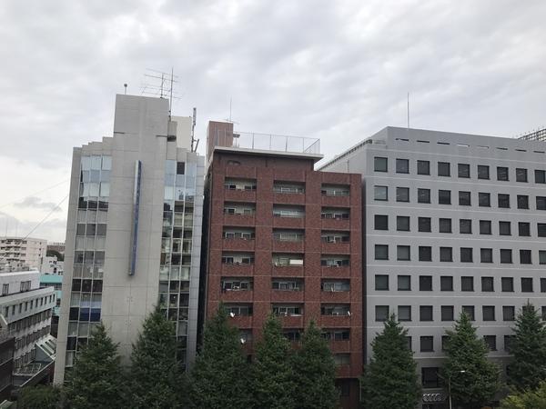 ルックハイツ新宿