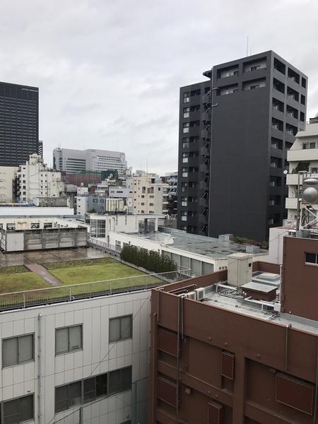 ルックハイツ新宿