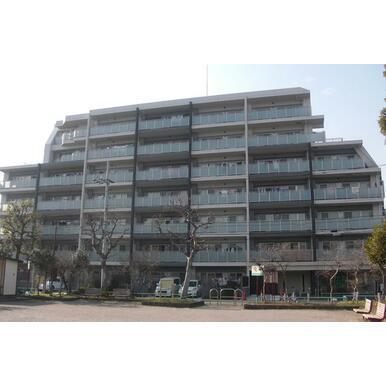葛飾区白鳥１丁目のマンション