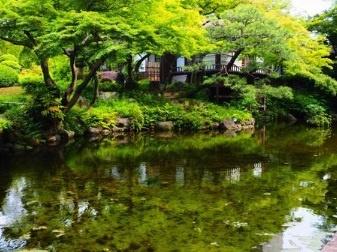 文京区白山１丁目のマンション