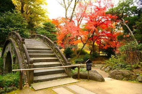 文京区白山１丁目のマンション