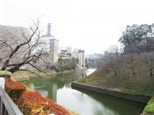 パレステュディオ九段北の丸