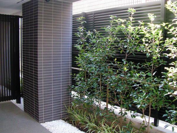 コスモリード市ヶ谷払方町