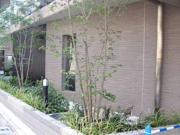 コスモリード市ヶ谷払方町