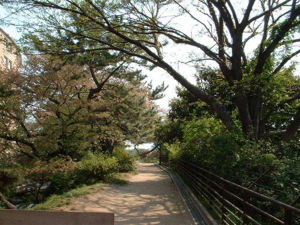 新宿区四谷２丁目のマンション
