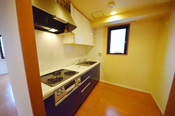 千代田区麹町３丁目のマンション