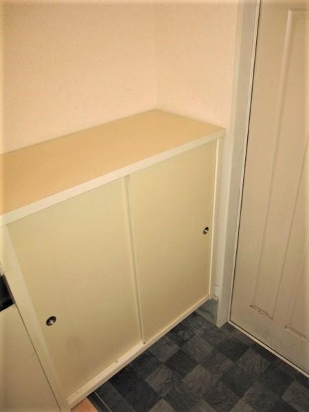 グリーンハイムK1(玄関)