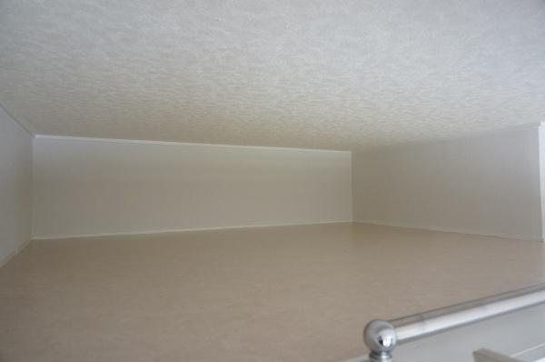 グリーンハイムK1(その他)