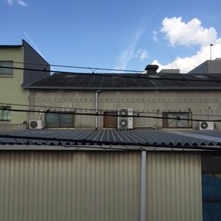ビオーラ司
