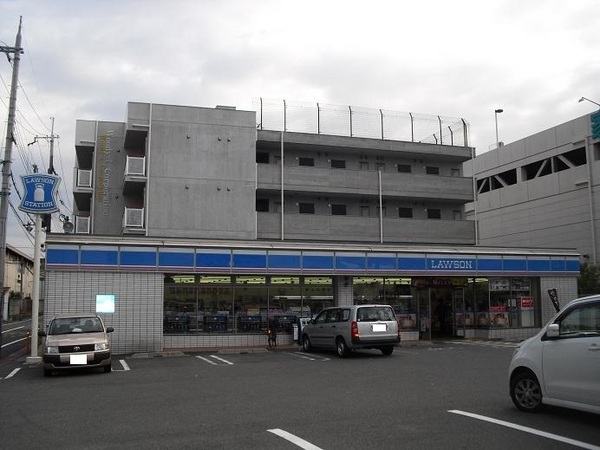 ファインコート鴻池南館(ローソン　大東諸福5丁目店)