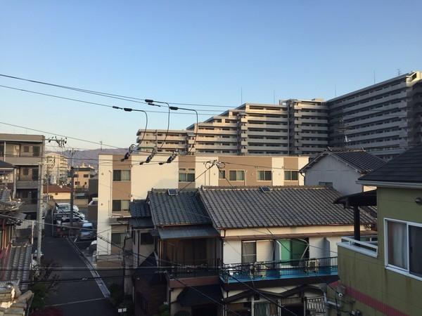フライングブルー