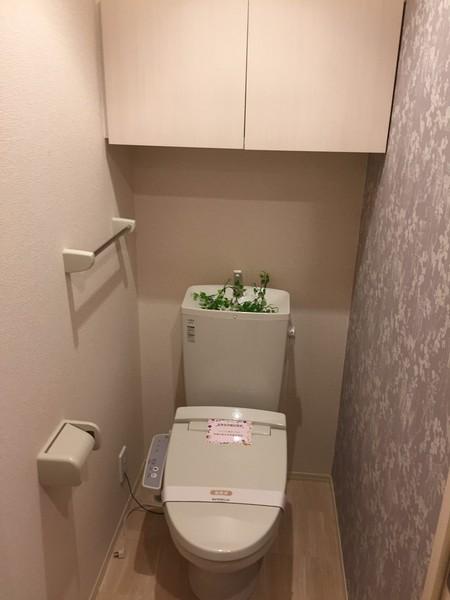 コンフォールミタニ