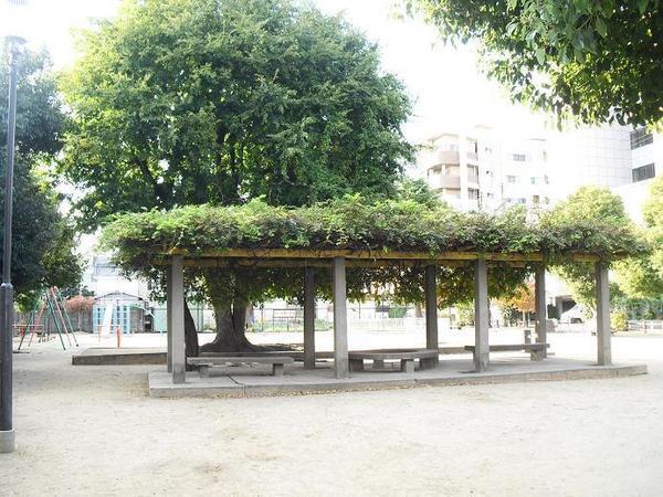 ファインコート鴻池南館(新田南公園)
