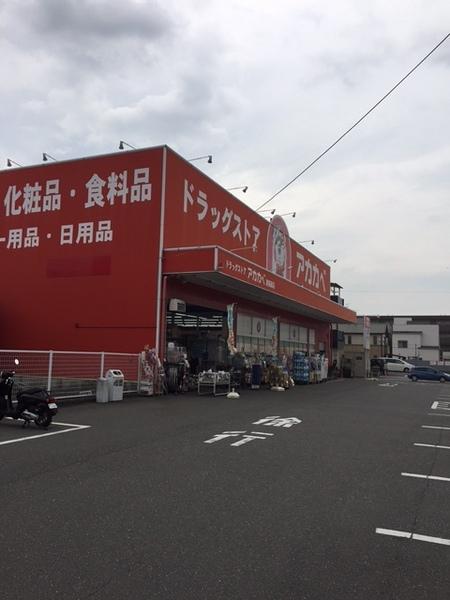 コスモス21パート２(ドラッグストアアカカベ諸福店)