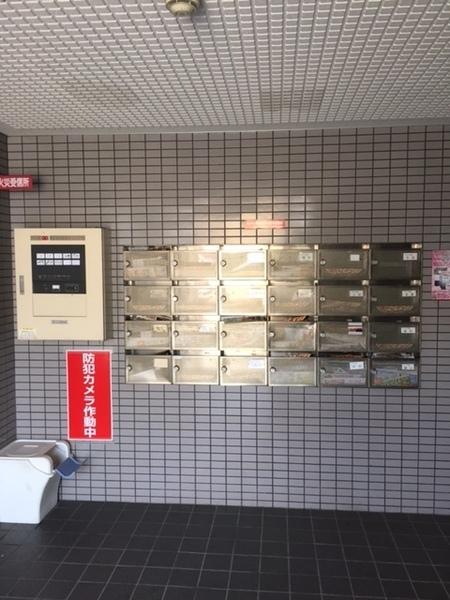 コスモス21パート２