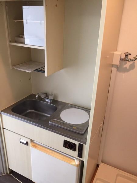 コスモス21パート２