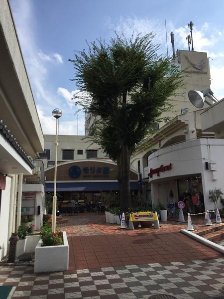 丸井ハイツ(モリタ屋 鴻池店)