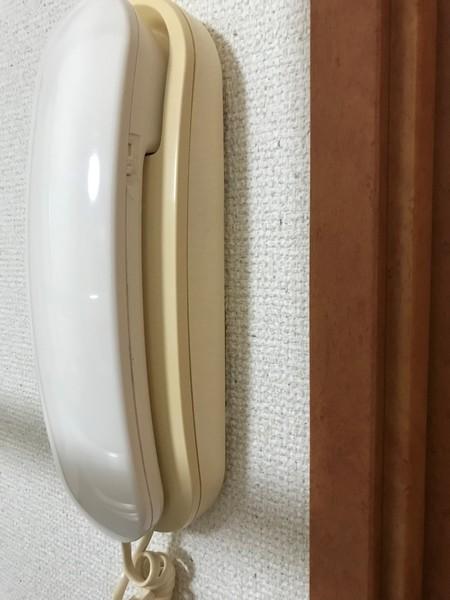 レオパレスドミール